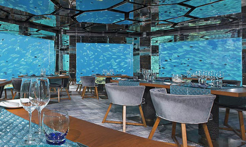 马尔代夫海底餐厅介绍大全