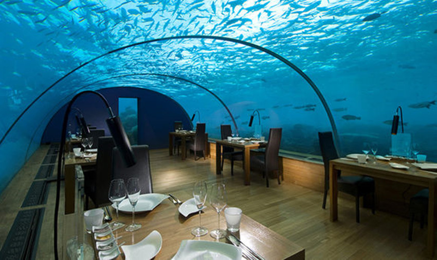 马尔代夫海底餐厅攻略介绍