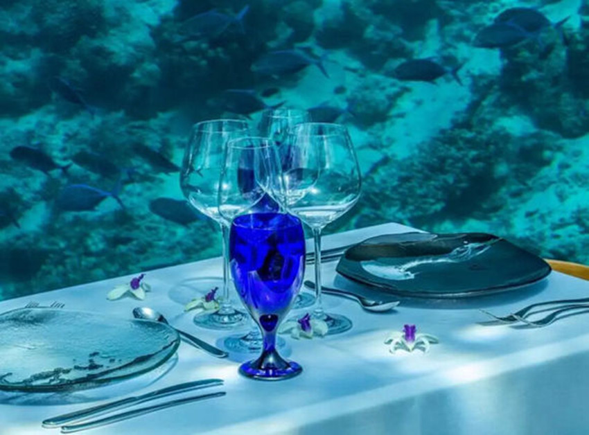 马尔代夫海底餐厅攻略