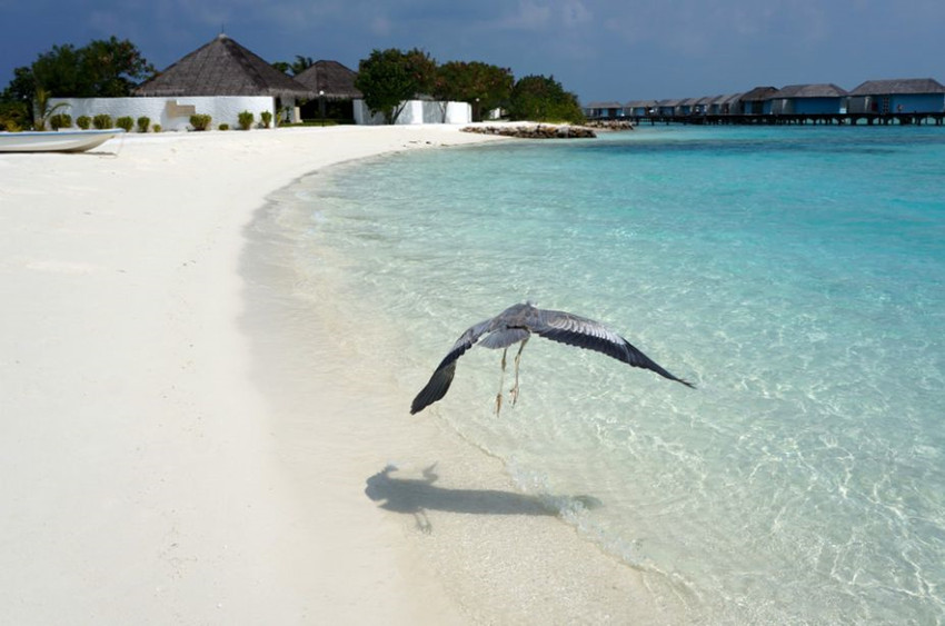 马尔代夫选岛攻略