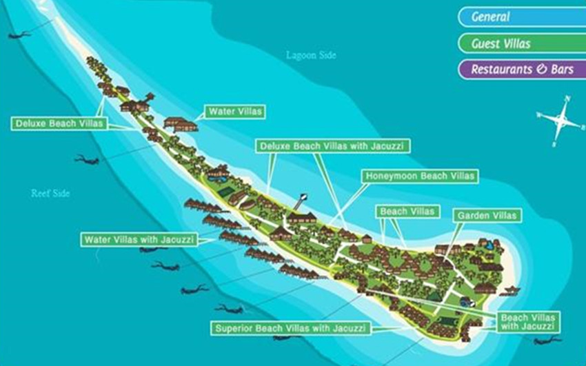 马尔代夫浮潜等级辨别指南