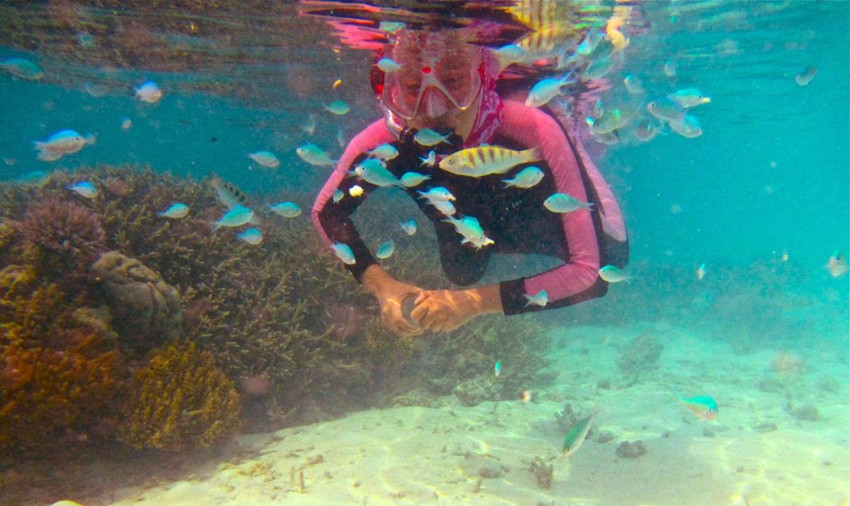 马尔代夫浮潜等级判断攻略